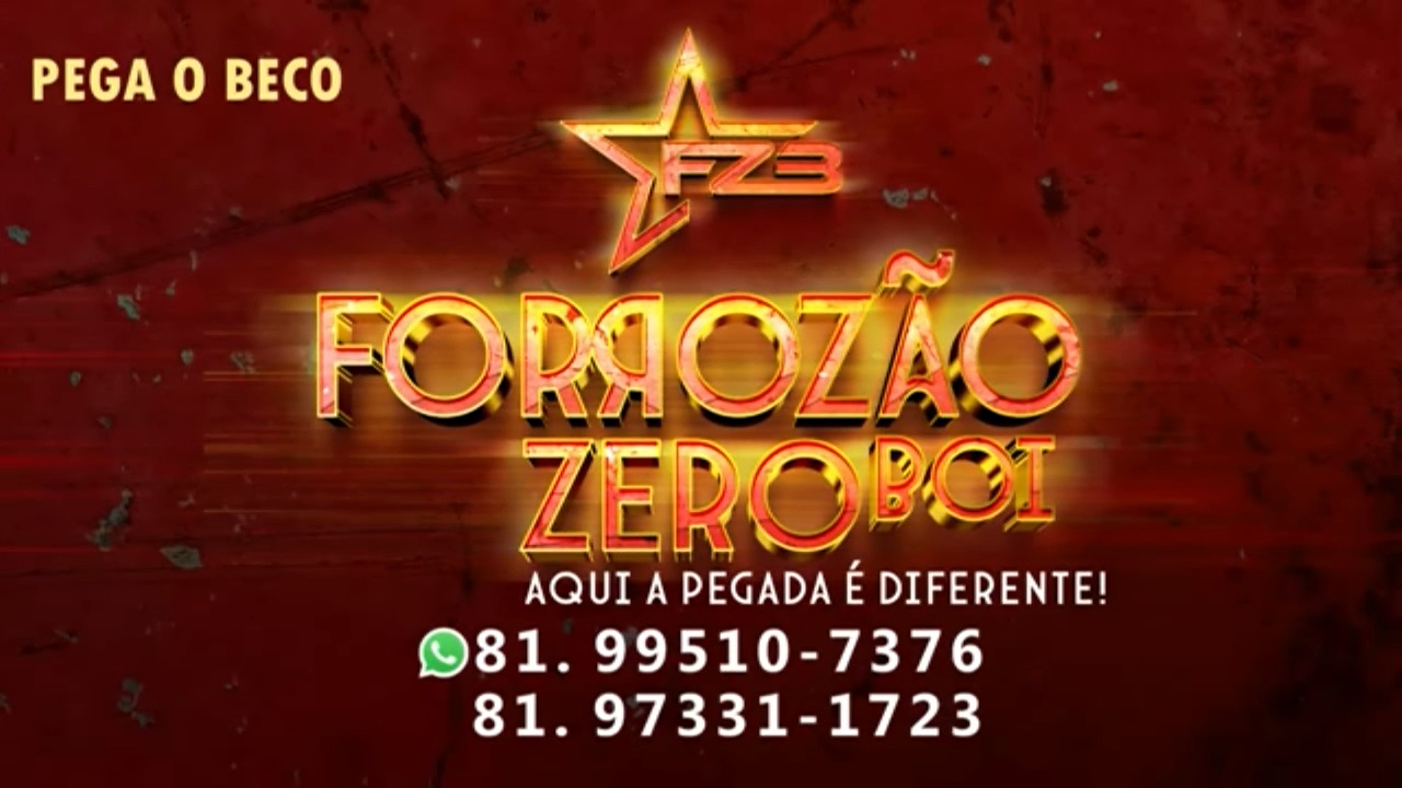 FORROZÃO ZERO BOI