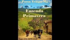 Fazenda Primavera